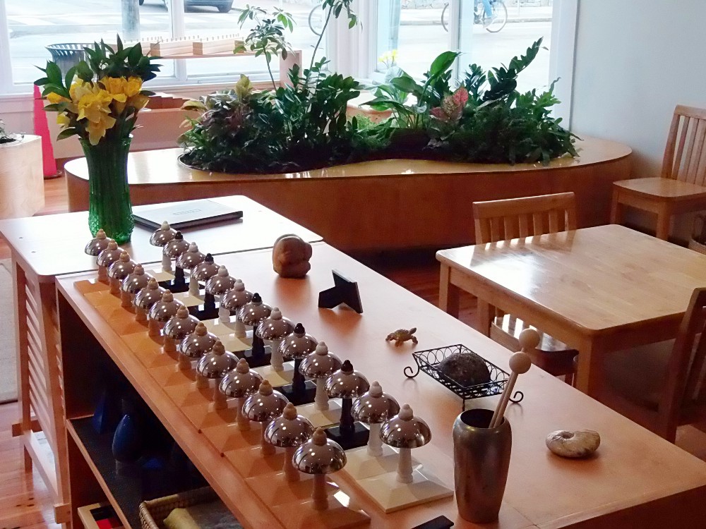 Designing a natural classroom