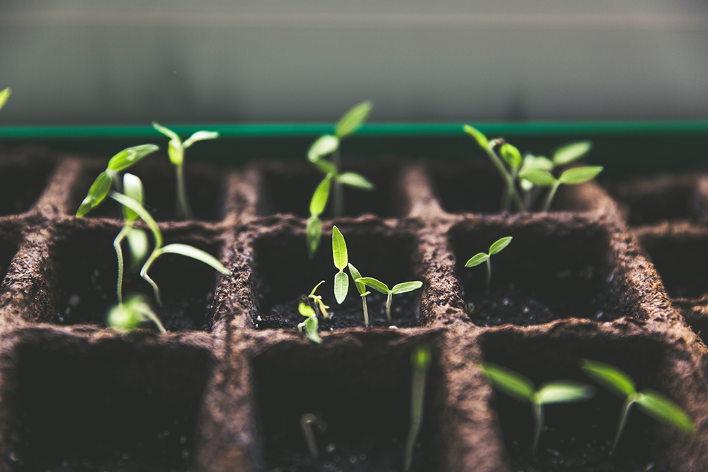 The 6-step method for repeatable growth experiments