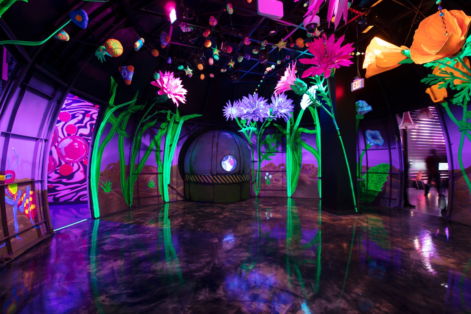 How Meow Wolf is reinventing immersive arts during a pandemic